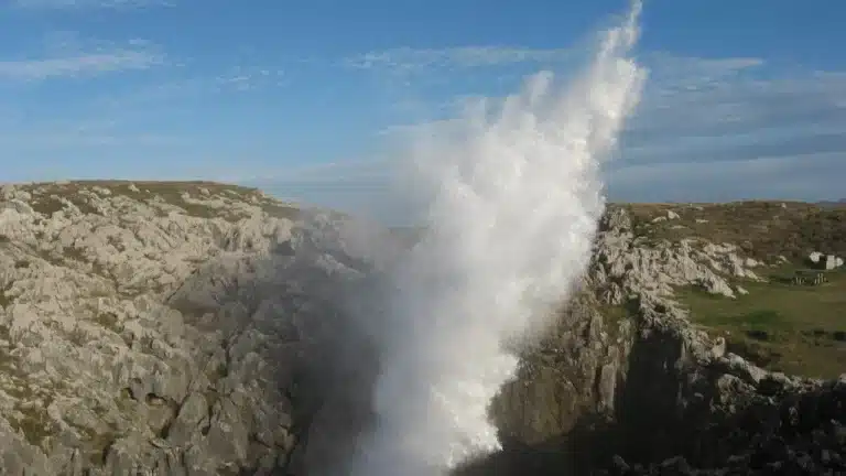 Imagen de los bufones de Arenillas.