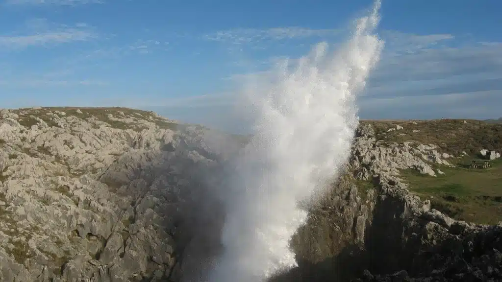 Imagen de los bufones de Arenillas.