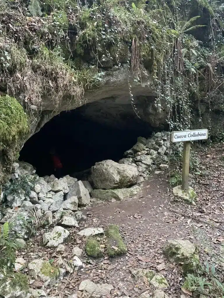 Imagen de la entrada de la cueva Collubina junto al cartel de la misma.