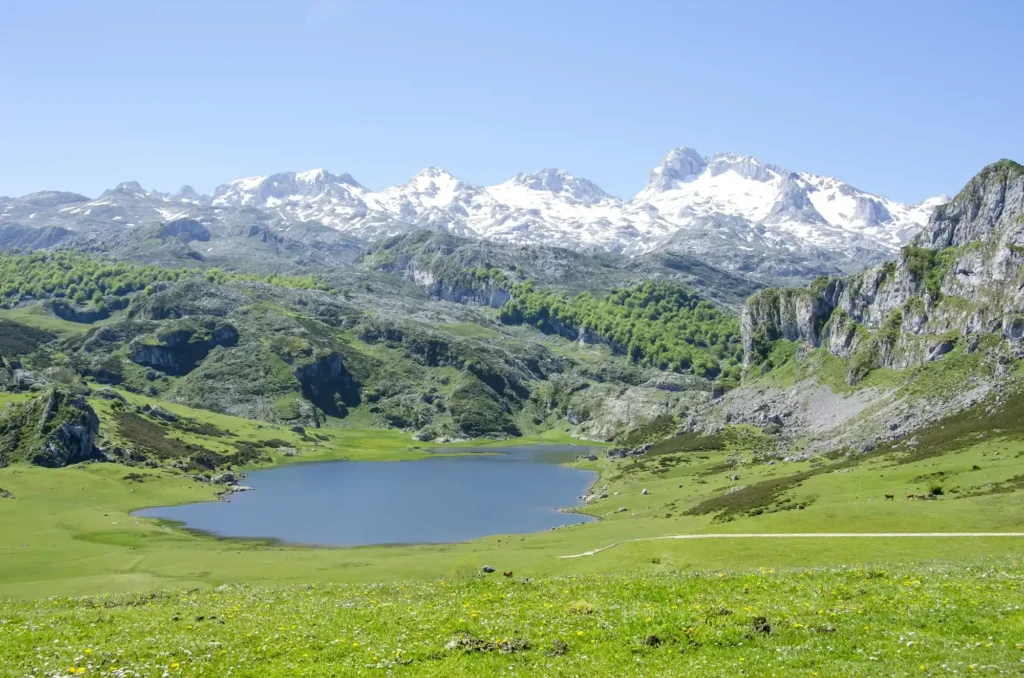 Imagen de los Lagos de Covadonga en pleno centro del Parque Natural de los Picos de Europa