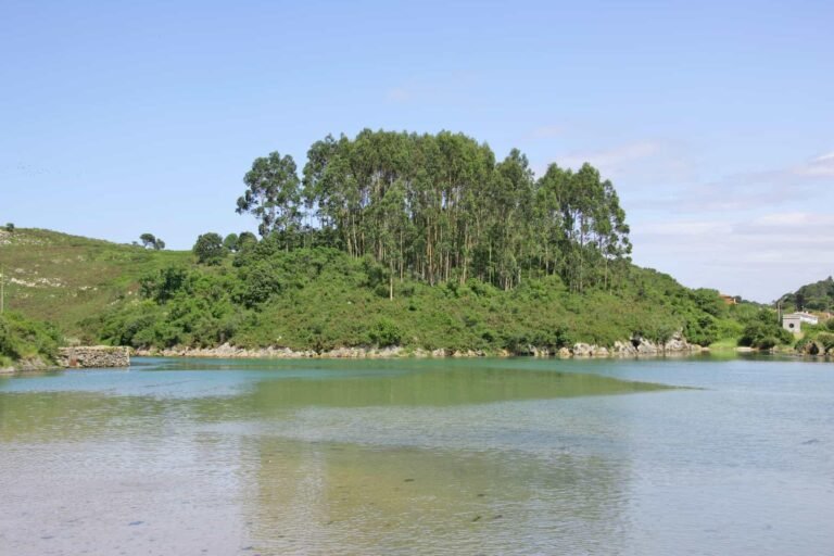 Imagen de la ría de Niembro.