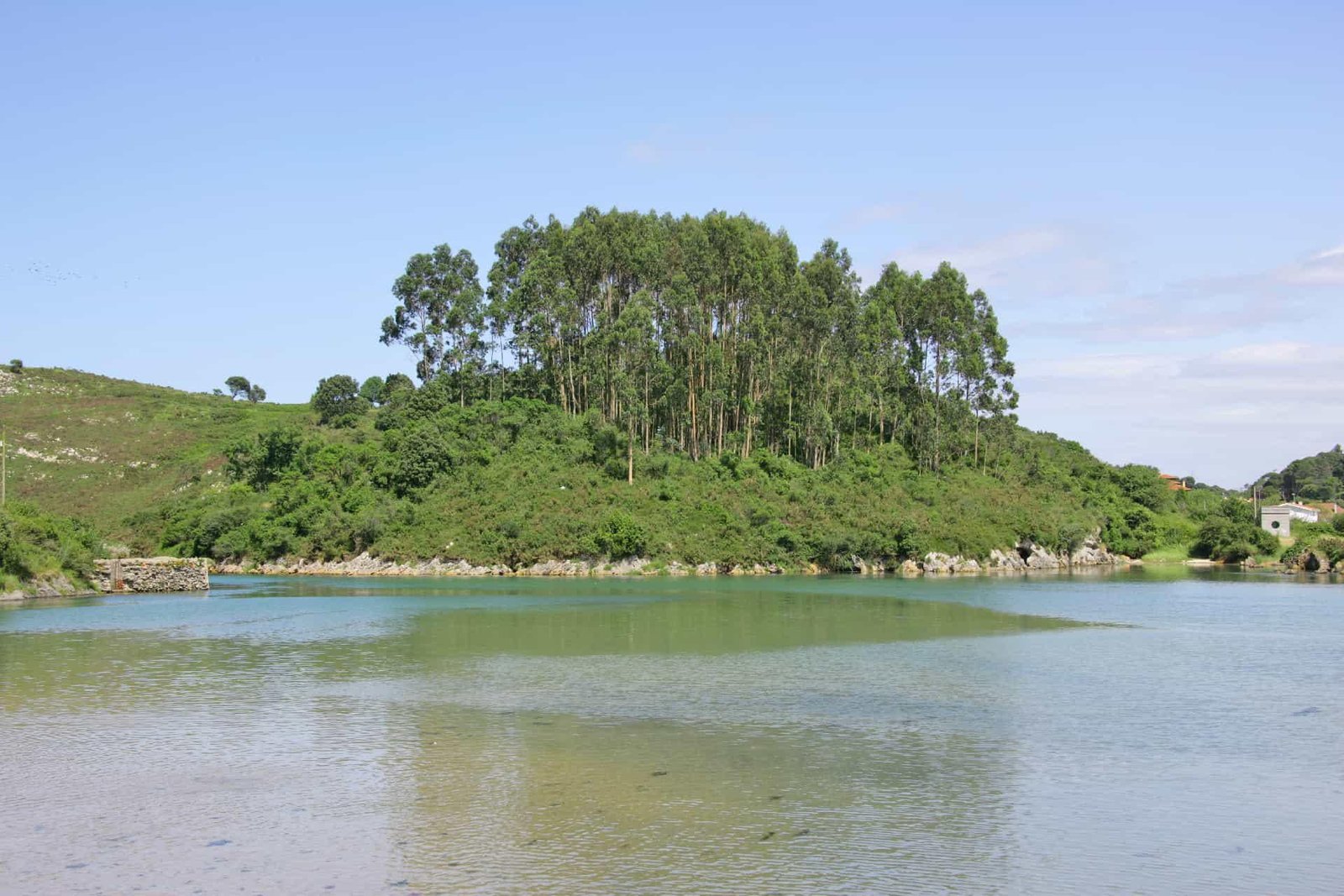 Imagen de la ría de Niembro.