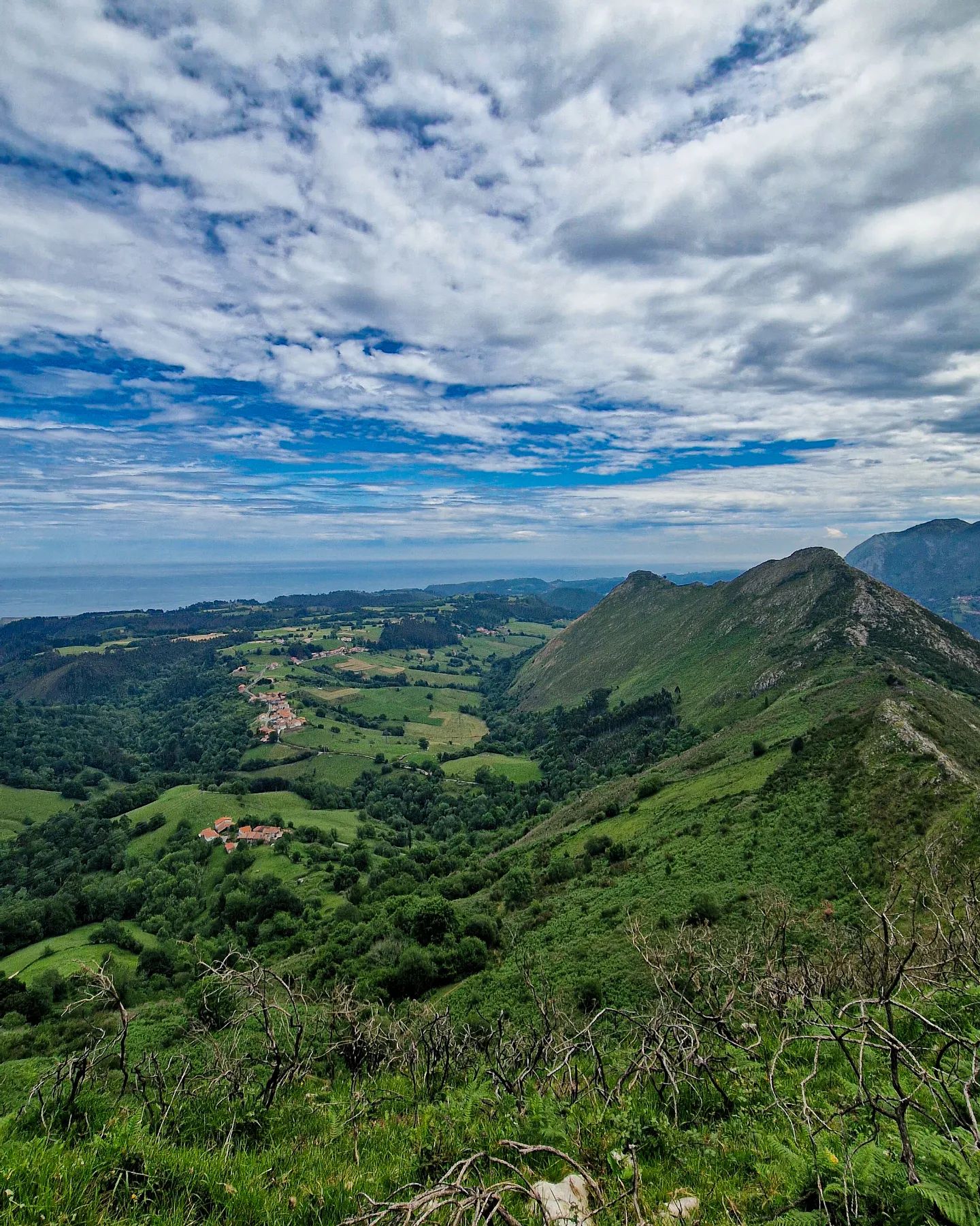 Carrera de Montaña Subida al Picu Benzúa
