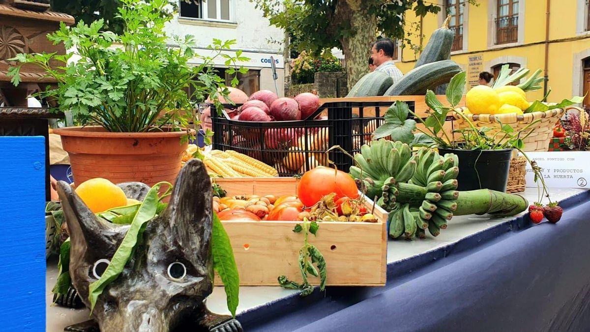 XLI Certamen de la Huerta