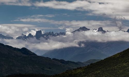 89addedc-2f99-43bd-8ec1-a7b11716ad96