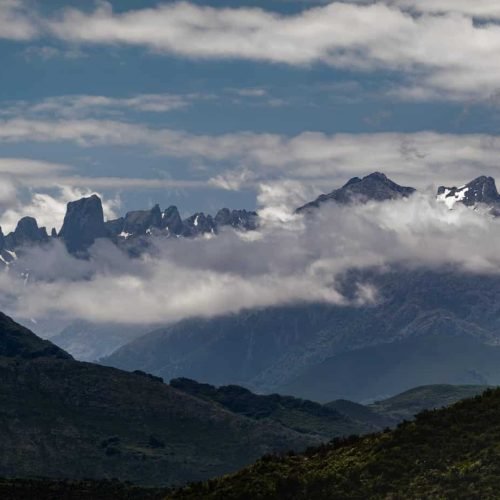 89addedc-2f99-43bd-8ec1-a7b11716ad96