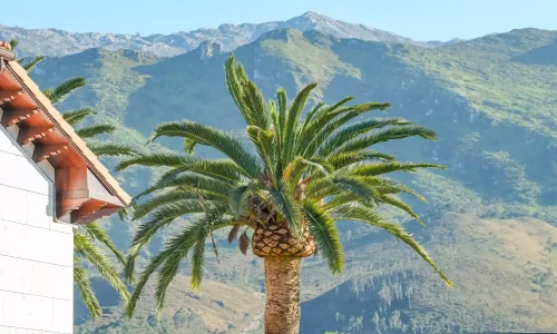 Imagen de las vistas del Indiana Boutique Hotel.