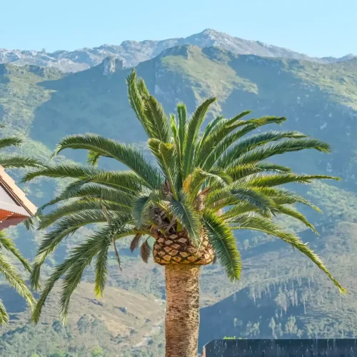 Imagen de las vistas del Indiana Boutique Hotel.