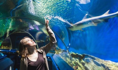 Qué hacer en Llanes con niños si llueve: planes y excursiones en familia