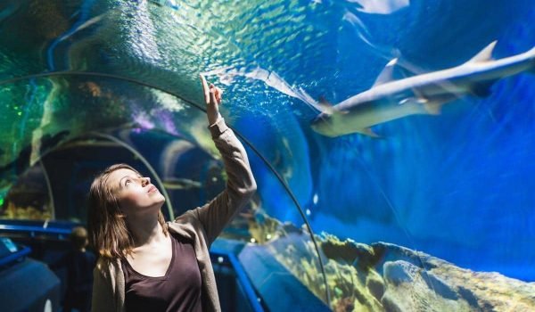Qué hacer en Llanes con niños si llueve: planes y excursiones en familia