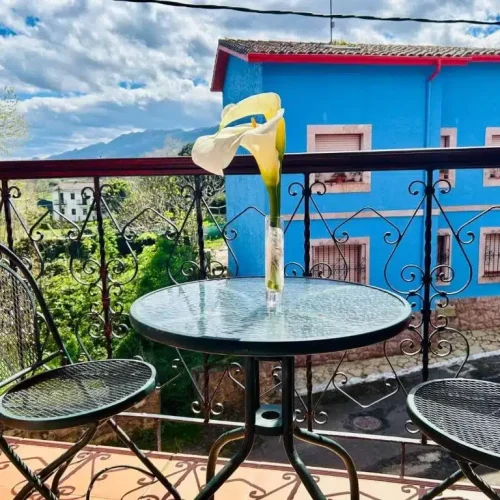 Imagen de las vistas del balcón de una habitación del Hotel Las Palmeras