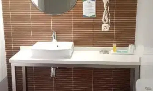 Baño de una de las habitaciones del hotel Palacio de Garaña.