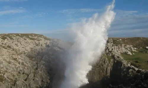 Imagen de los bufones de arenillas