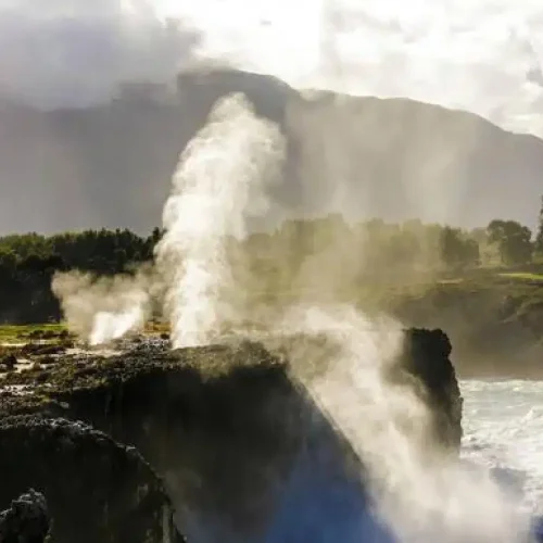 Imagen de los bufones de Pría en su máximo esplendor.