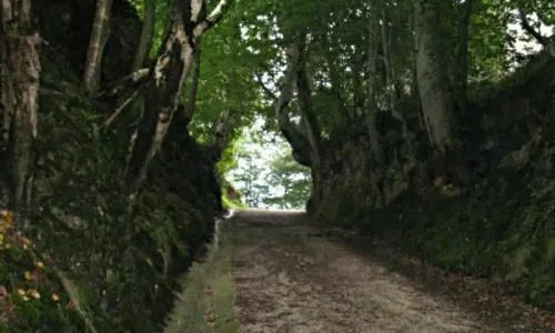 Camino que llega a la Ermita del Cristo del Camino
