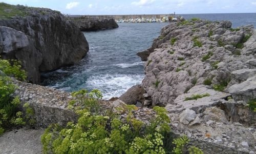 camping-camping-entre-playas-33500-llanes-asturias-3.jpg