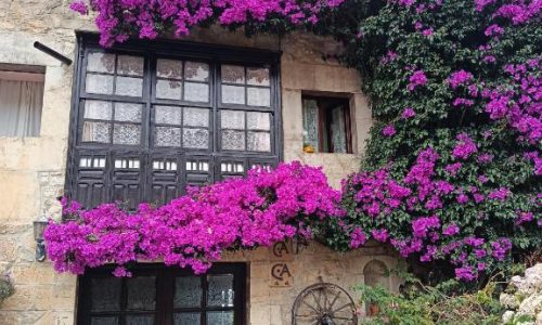 casa-de-aldea-el-valle-buelna-llanes-asturias-1