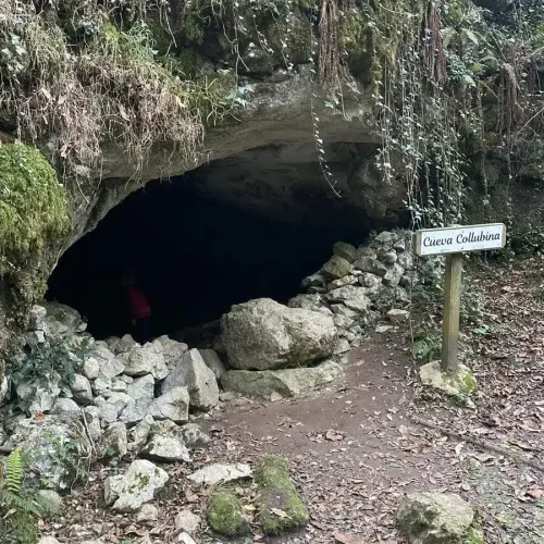 Imagen de la entrada de la cueva Collubina junto al cartel de la misma.