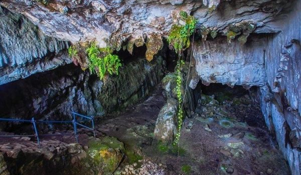 Cueva del Pindal en Llanes