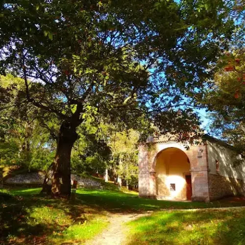 Imagen de la ermita del cristo del camino.