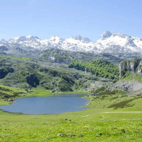 Imagen de los Lagos de Covadonga en pleno centro del Parque Natural de los Picos de Europa