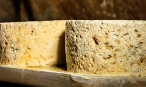 queso-cabrales