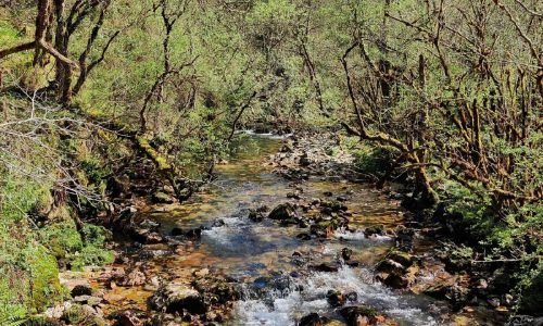 Ruta del Río Purón