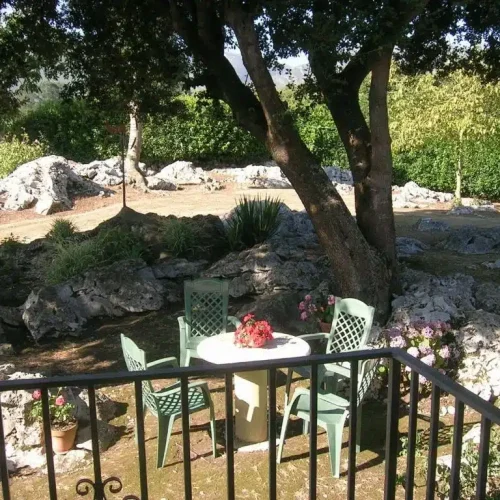 Imagen de las zonas exteriores comunes del Hotel La Encina