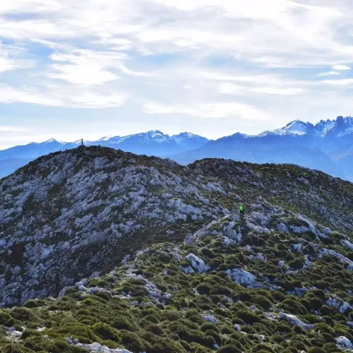 Pico Cabeza Ubena y sus vistas a los Picos de Europa en el fondo.