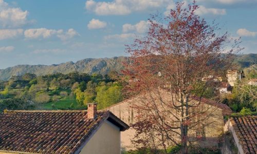 vivienda-vacacional-casa-del-sur-el-collau-porrua-llanes-asturias-1
