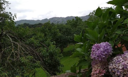 vivienda-vacacional-casa-del-sur-el-collau-porrua-llanes-asturias-5.jpg