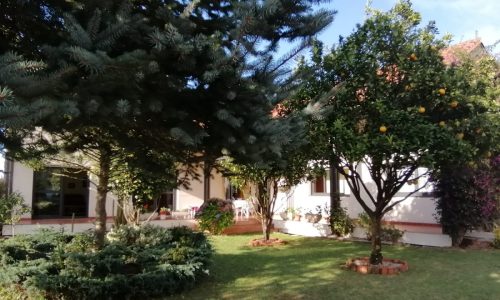 vivienda-vacacional-casa-telva-llanes-asturias-4.jpg